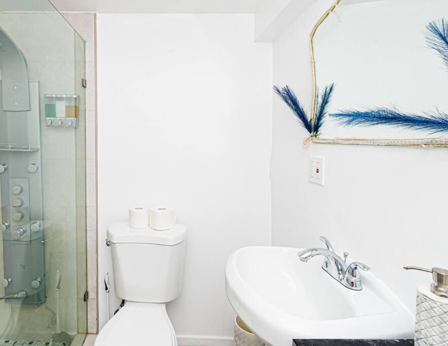 Apartment Luxury 6br In Brooklyn New York