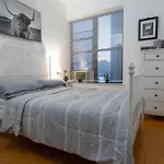 Modern Apartment By Central Park - 3 Br