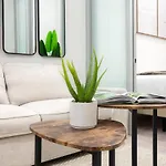 317-1B Modern 1Br Ues W&D