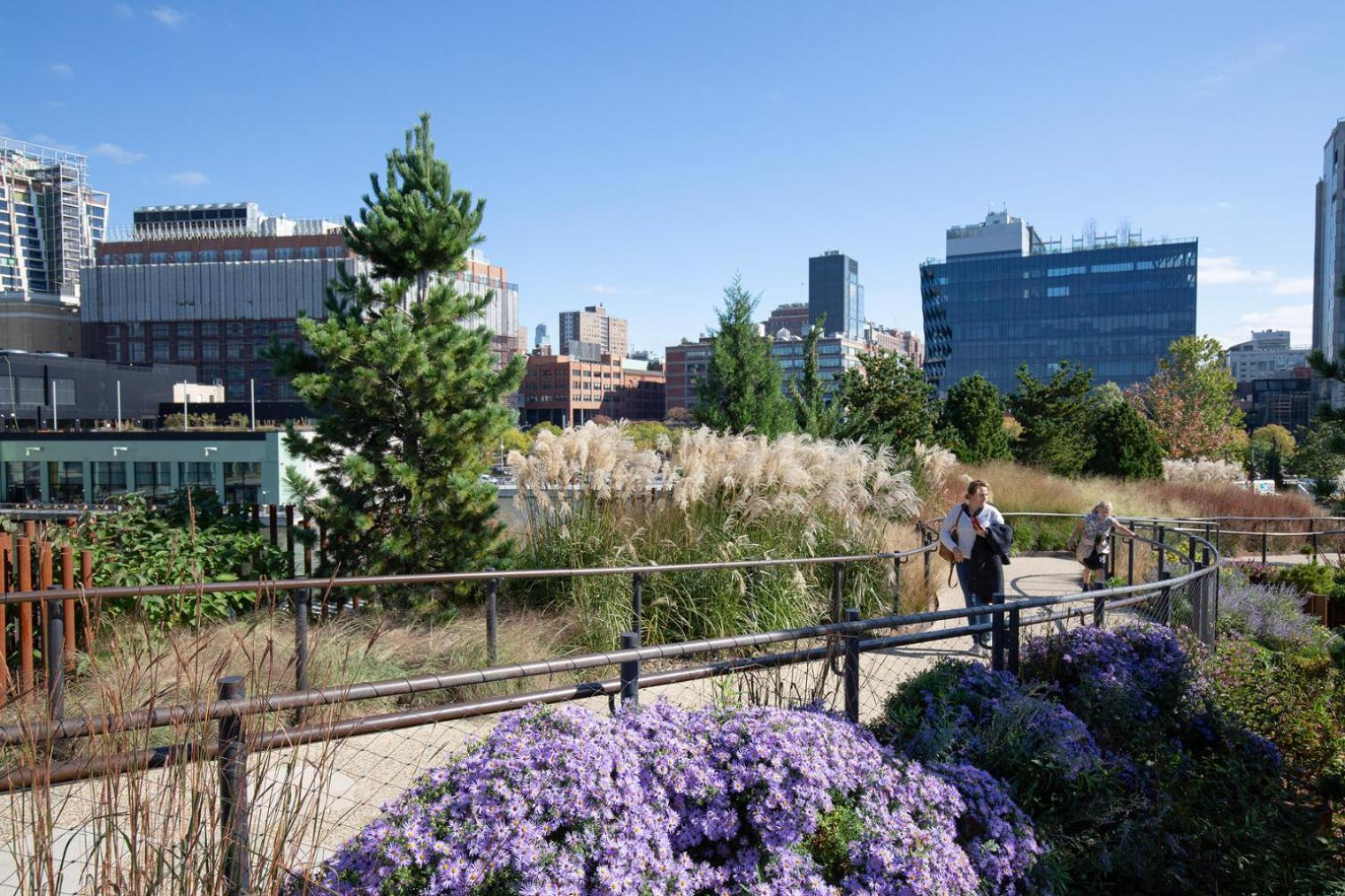 Apartment Chelsea 1br W Gym Roofdeck Nr Flatiron Nyc-1386