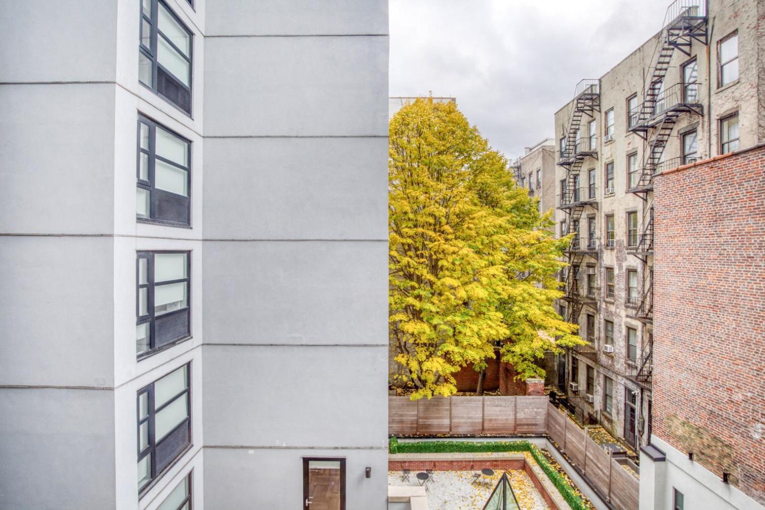 Apartment Les 1br W Gym Doorman Wd Nr Park Nyc-1314 New York