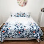 Ozone Pk Adria Apartment
