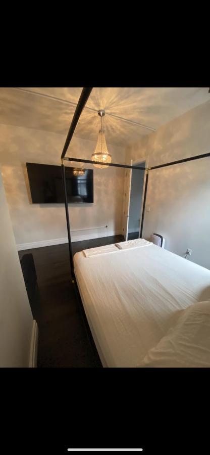 Apartment The Loft Pool Sauna Gym In The Bronx New York