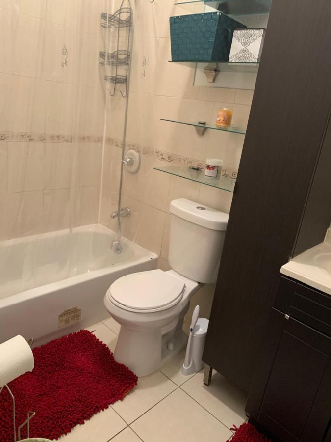 Apartment Charming In Bushwick *