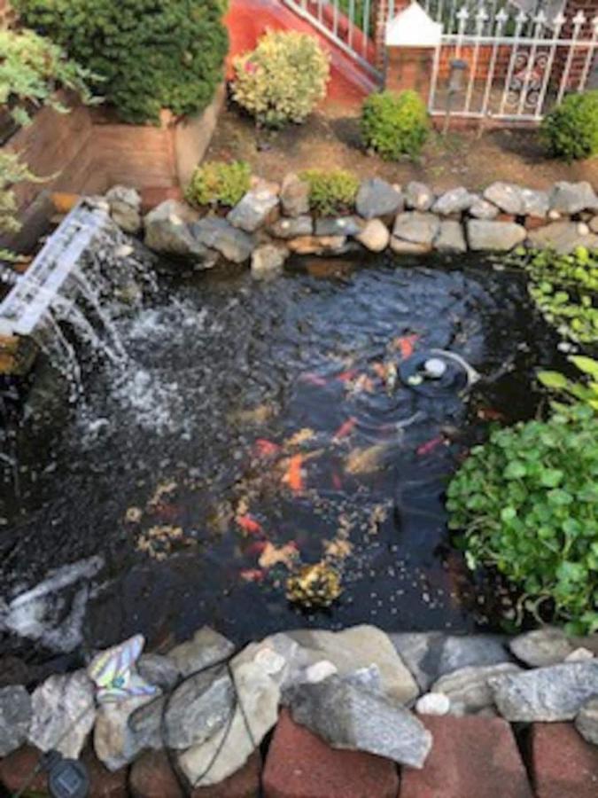 Beautiful Brooklyn Koi-fish Pond-garden Apartment *