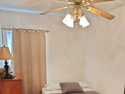 Beautiful Brooklyn Koi-fish Pond-garden Apartment New York