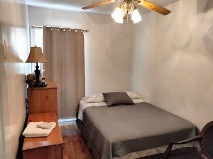 Beautiful Brooklyn Koi-fish Pond-garden Apartment *