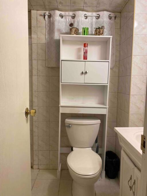 Apartment Treasure In Queens