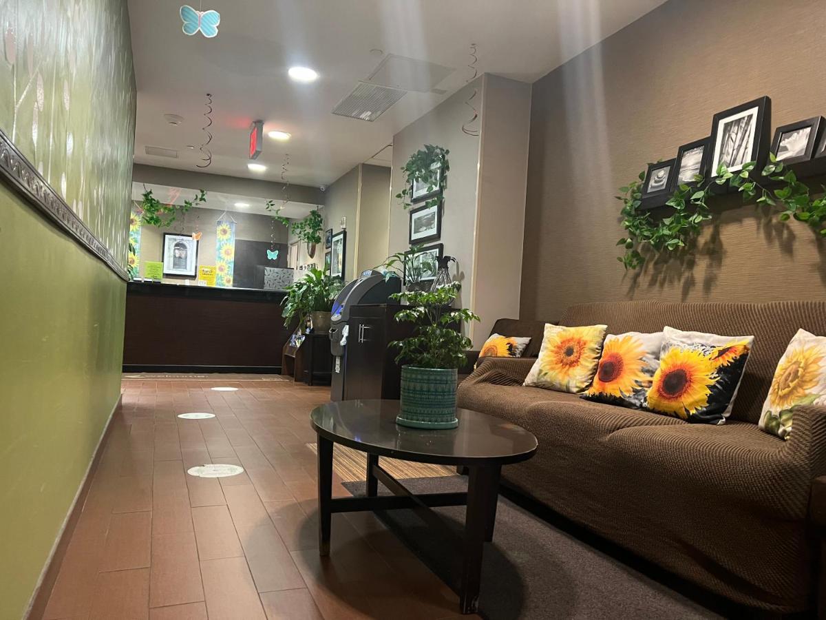 Hotel Cresthaven Jamaica-jfk 2*