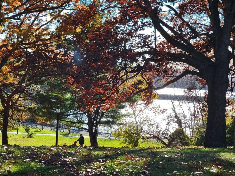 Apartment 1st Floor Private Apt Near Ferry To Nyc And Park New York