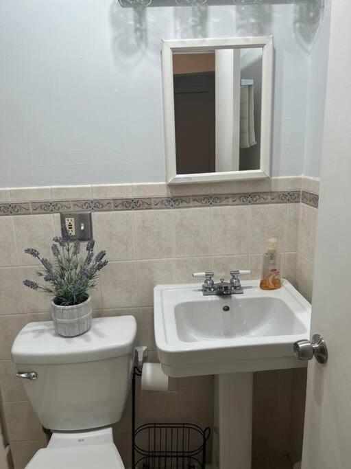 Cozy Lovely 2 Bedroom Apt, 5 Mins From Jfk Apartment *