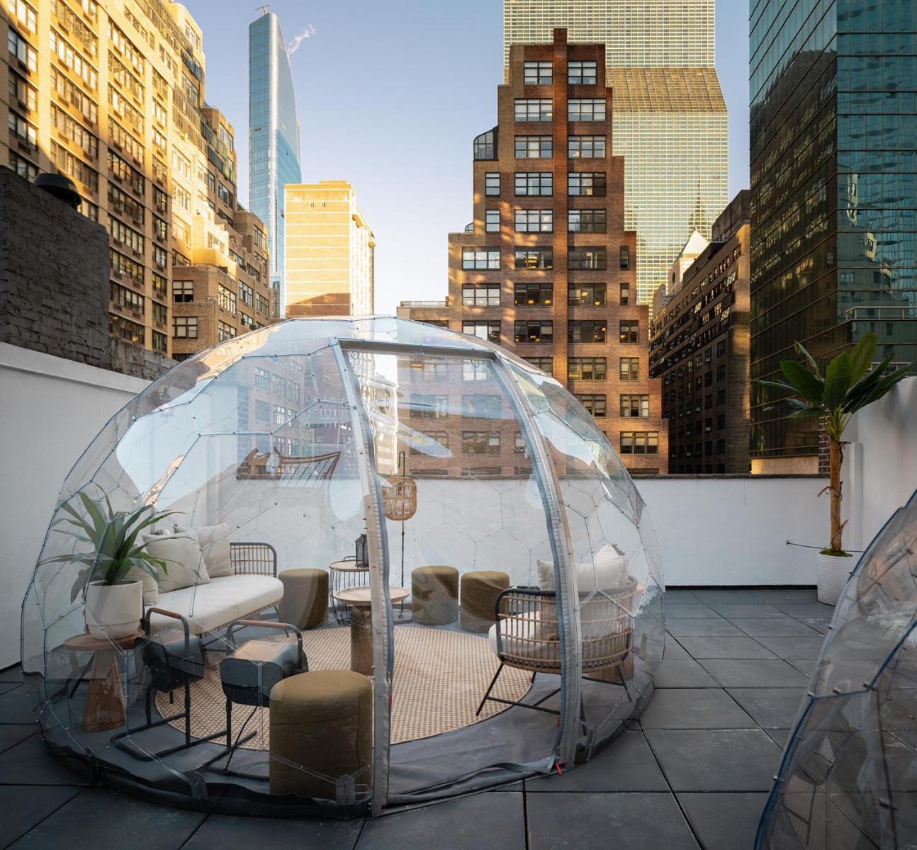 Little Charlie 4* New York