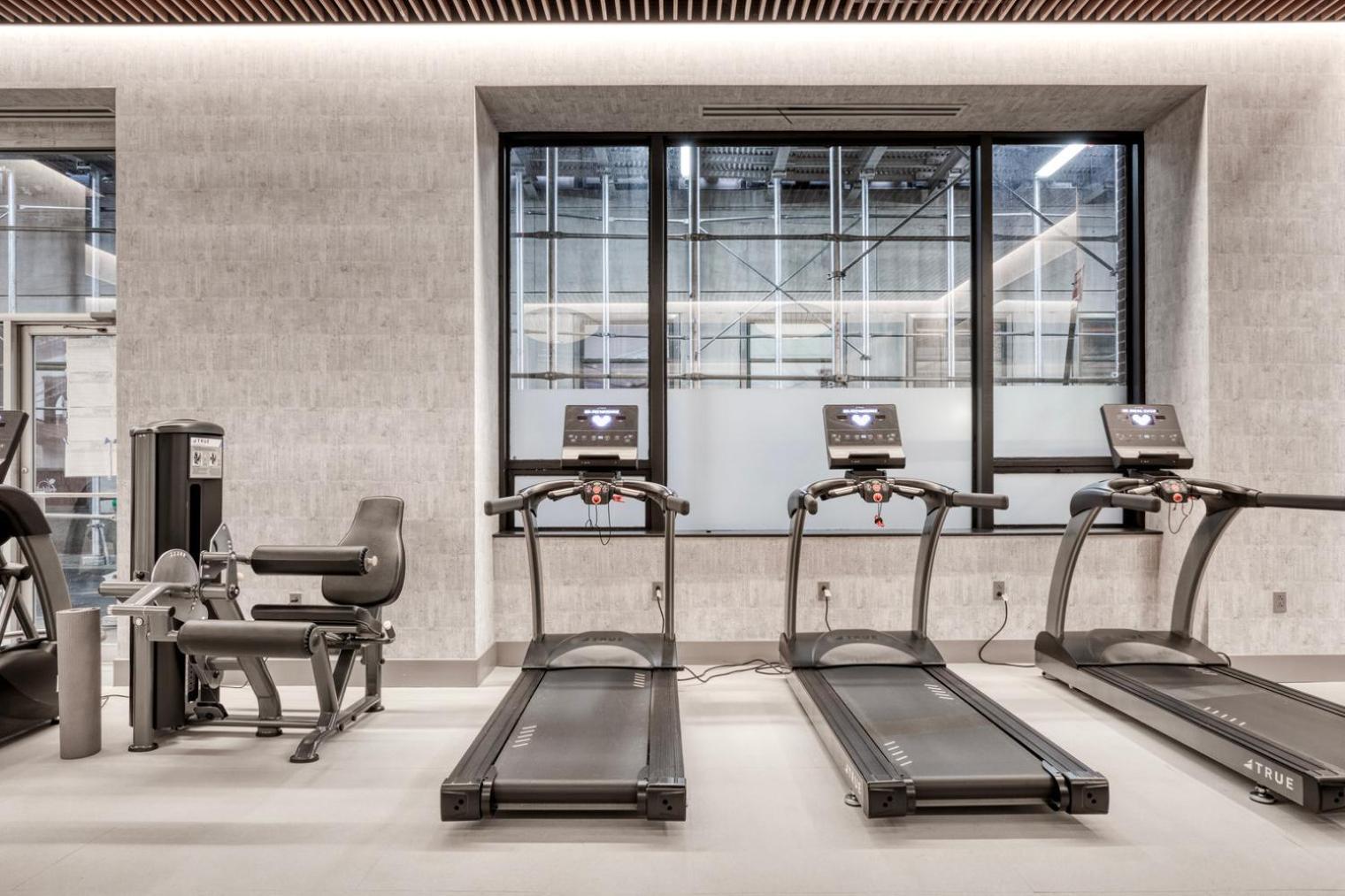 Fidi 1br W Gym Doorman Elevator Nr St Nyc-1051 Apartment