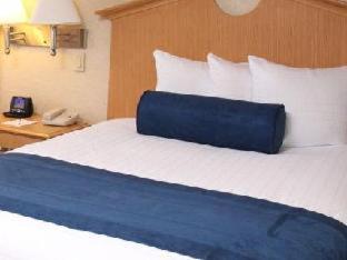 Marco Laguardia & Hotel 3*