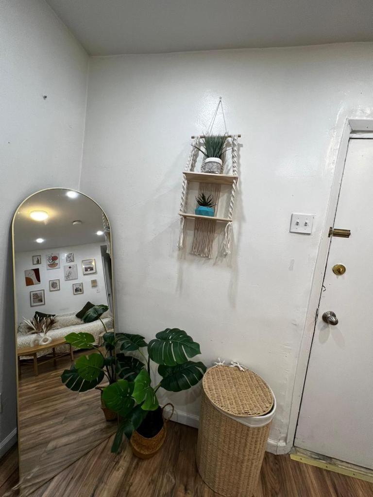Amazing Ground Floor 2 Bedrooms In Nyc Subway Crossing The Street And One Station To Manhattan * New York