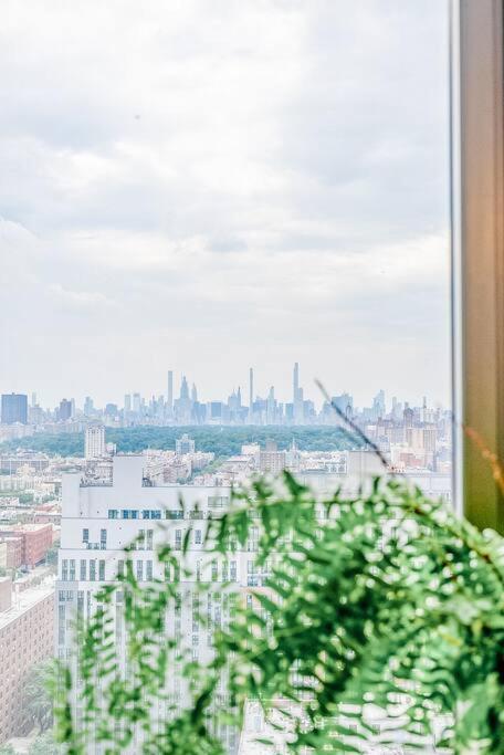 City Views, Modern Nyc Oasis Retreat *