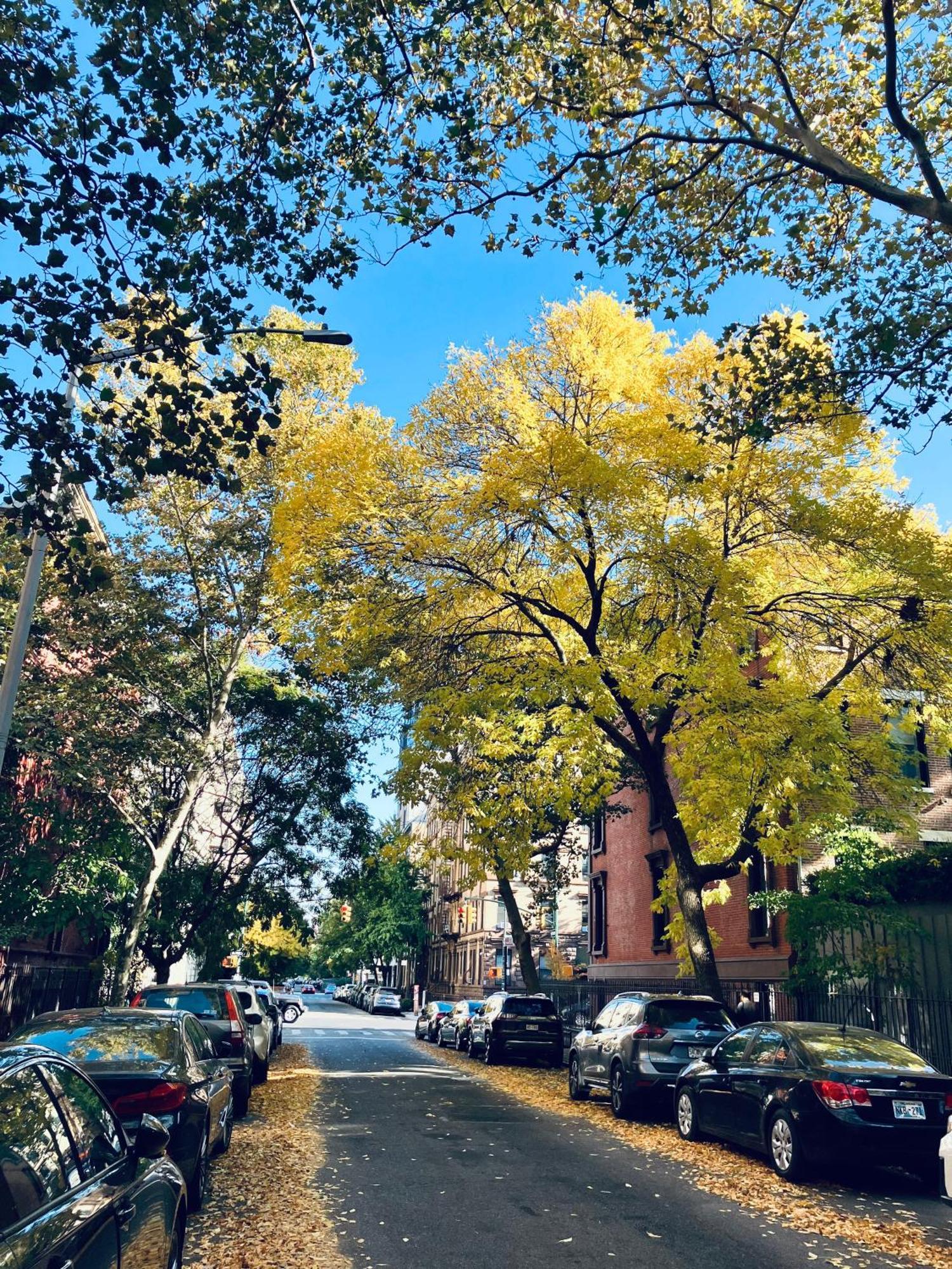 Harlem Grand Bed & Breakfast 4*