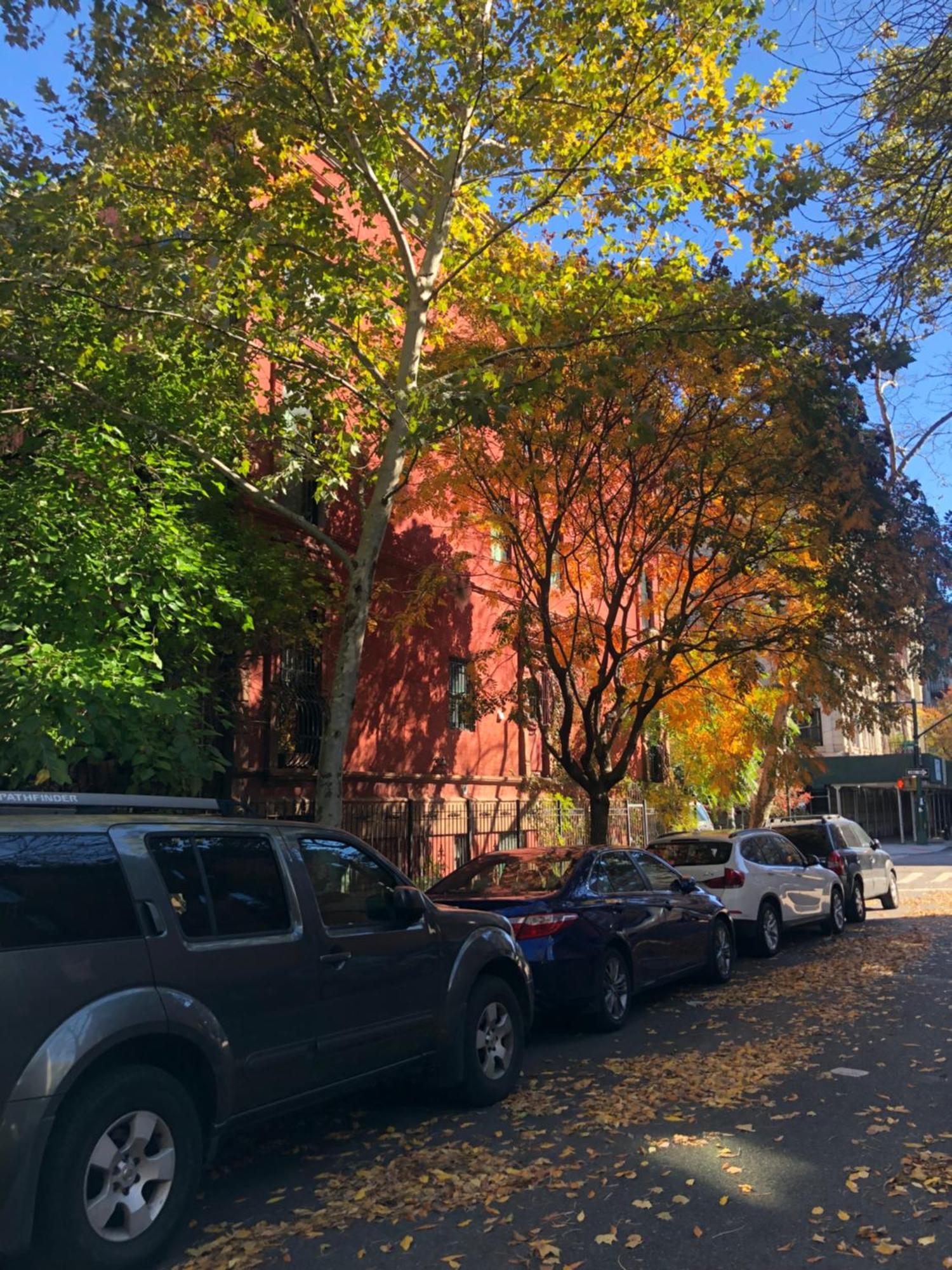 Harlem Grand Bed & Breakfast
