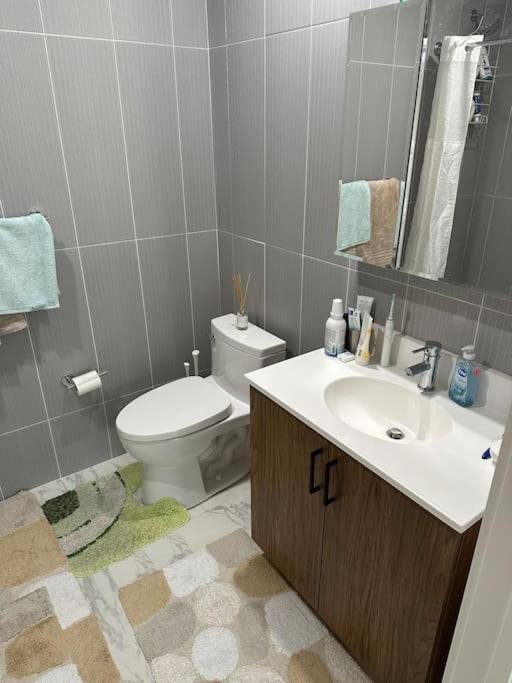 Apartment Beautiful Greenpoint New York