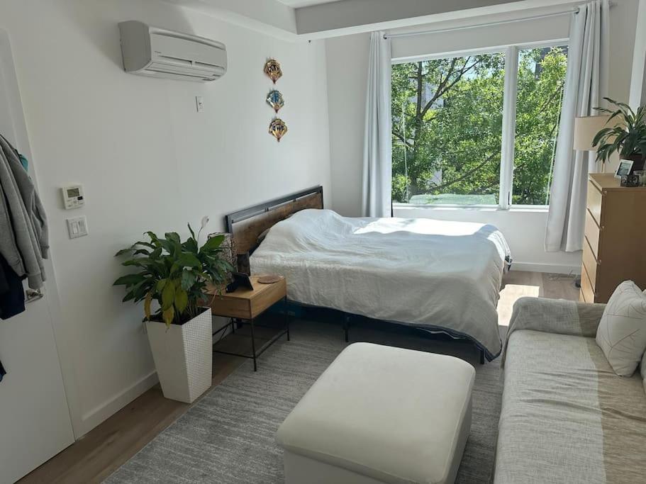Apartment Beautiful Greenpoint New York