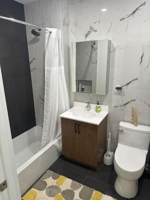 Beautiful Greenpoint Apartment
