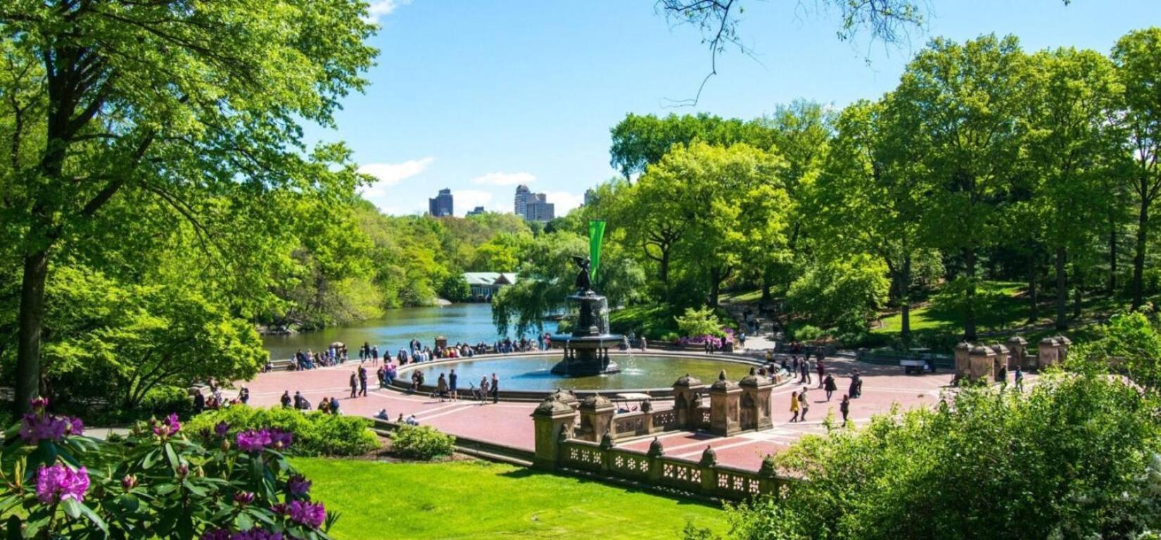 New2 York Style Near Park