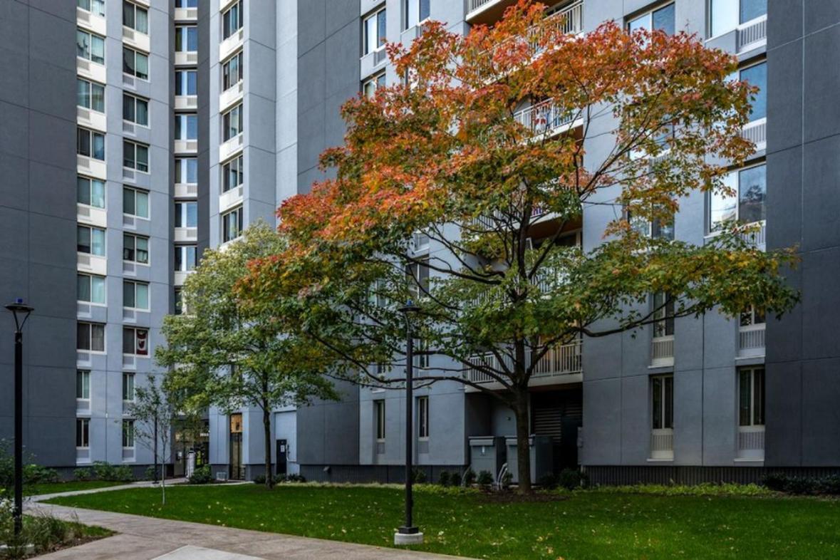 New Chic & Cozy 1bd Near East River, Minutes From Park Apartment New York
