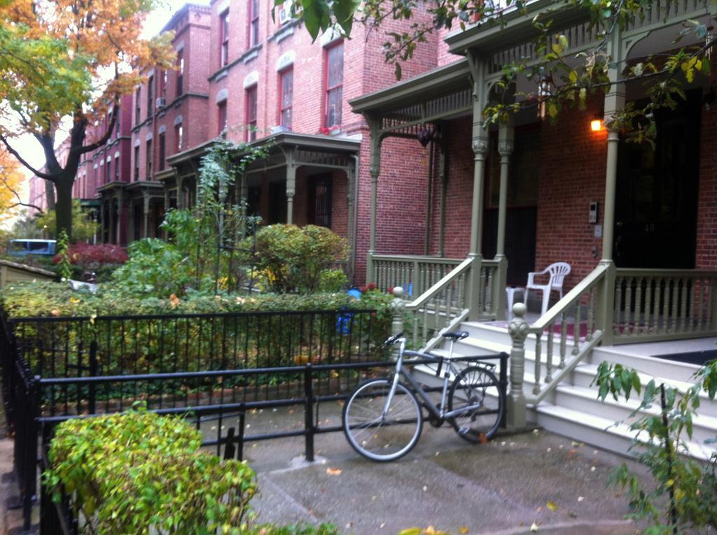 Great Cozy Apt New York