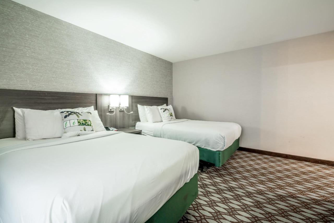 Letap Near Airtrain Jfk Airport New York