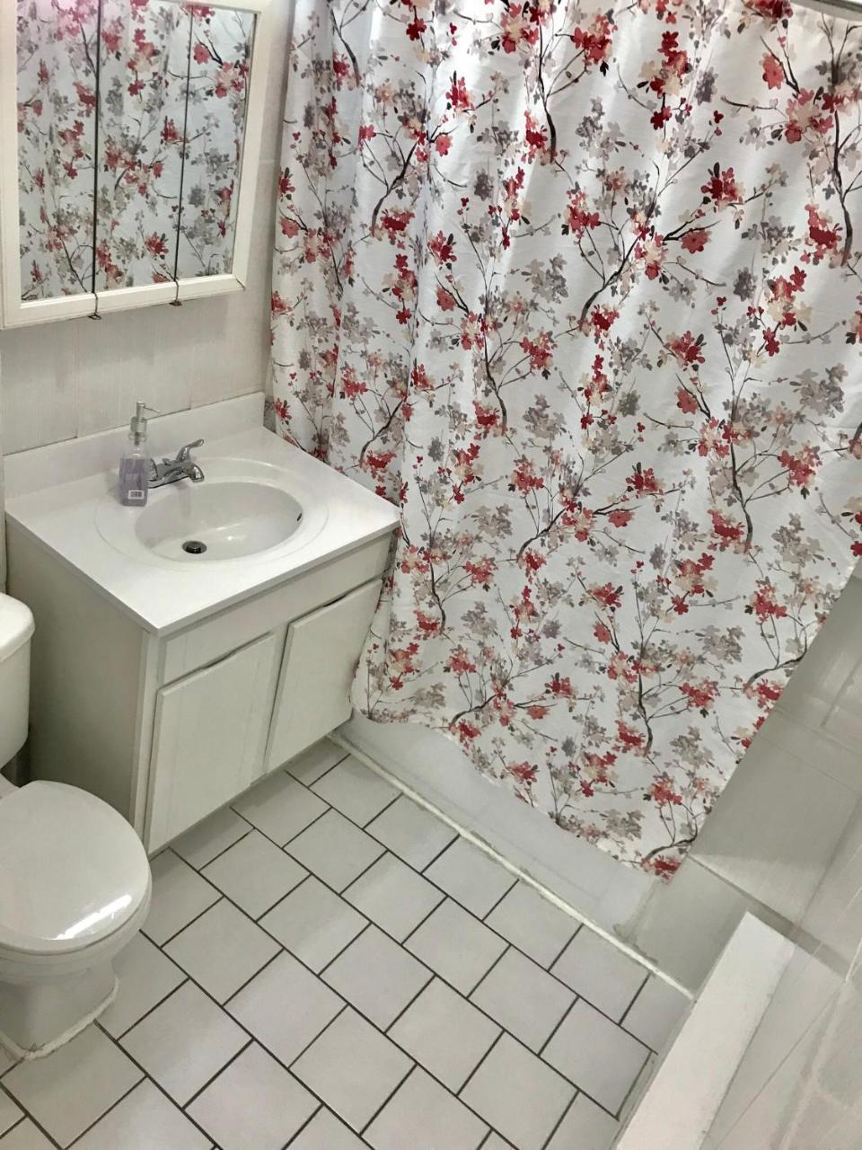 Apartment Ozone Pk Adria New York