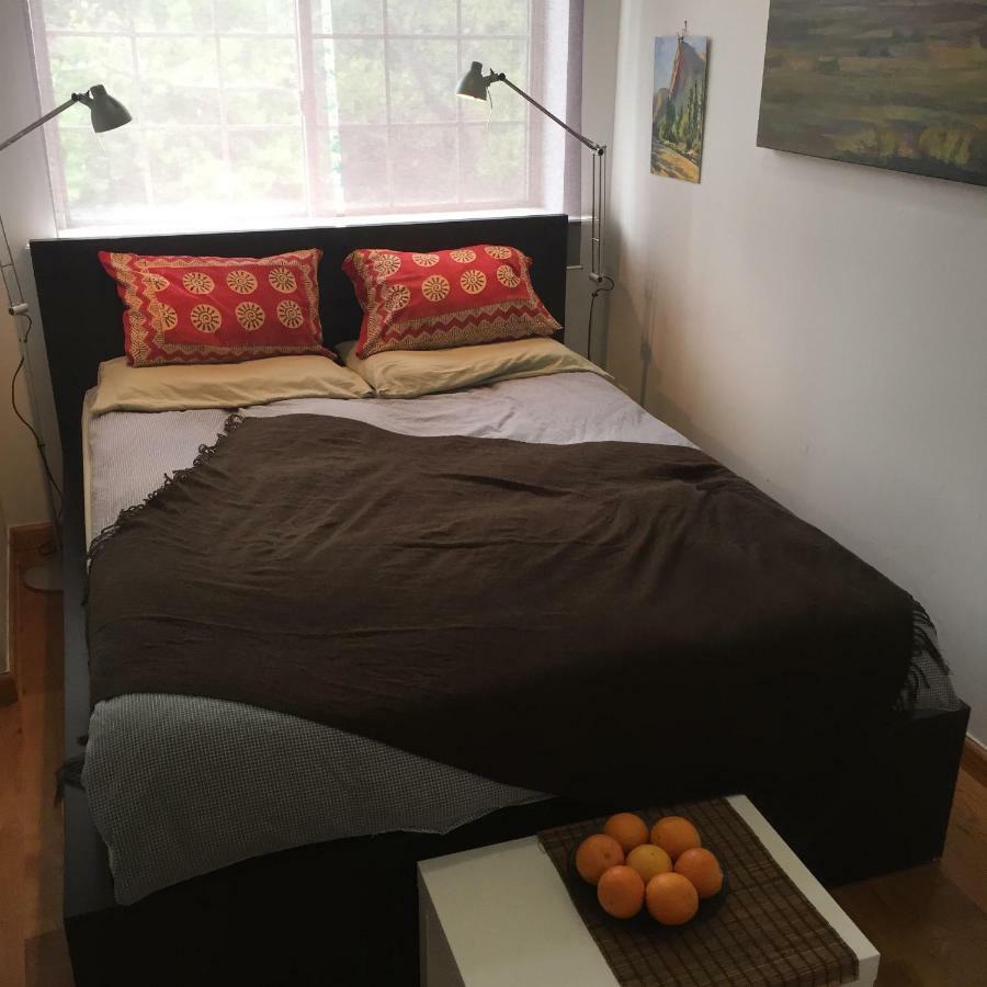 Brooklyn Artist Delight Homestay New York