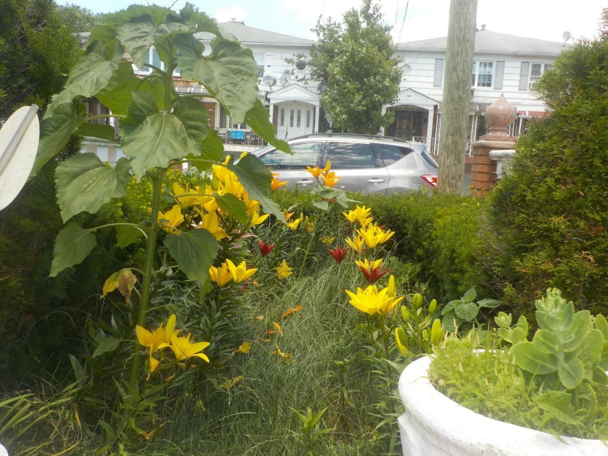 Guest house At The Water's Edge In Canarsie!