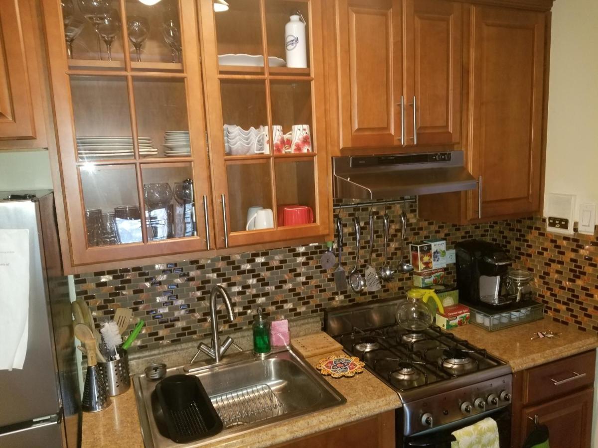 Cozy Fully Furnished Near Prospect Park & Public Transport Apartment