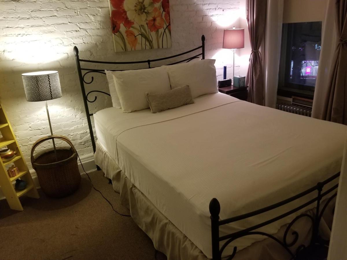 Cozy Fully Furnished Near Prospect Park & Public Transport Apartment