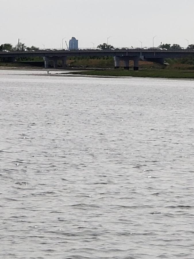 Guest house At The Water's Edge In Canarsie!