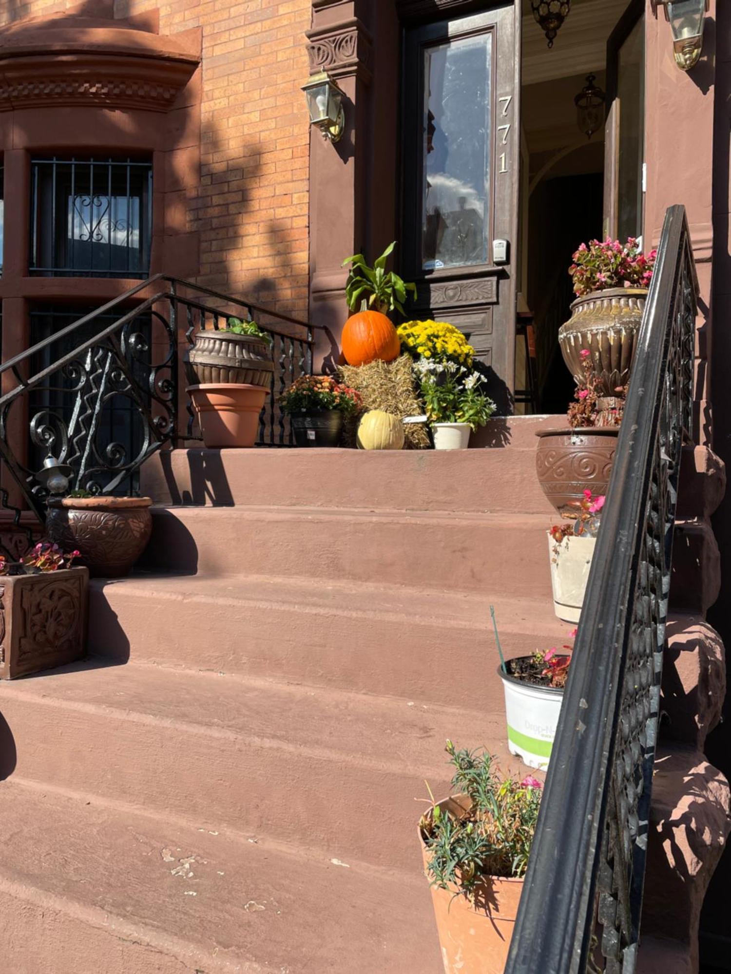 Brooklyn Brownstone Apartment New York
