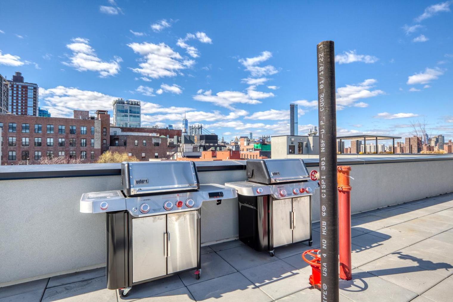 Vinegar Hill 1br W Wd Roof Gym Nr Timeout Building Nyc-959 New York