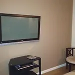 Bachelor Pad Oasis