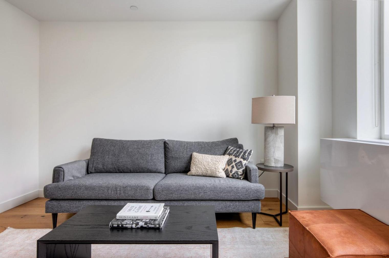 Apartment Les 1br W Lounge Gym Roofdeck Nr Park Nyc-1379