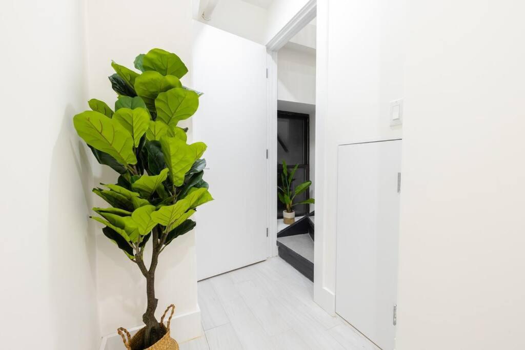 170-g 3br Duplex With Outdoor Space East Village New York