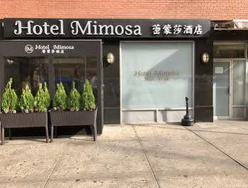 Hotel Mayor